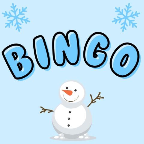 Bingo Winter Logo