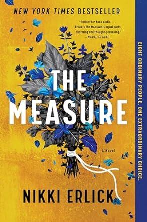 The Measure by Nikki Erlick